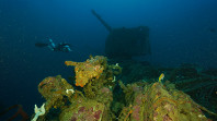 Underwater - Honiara